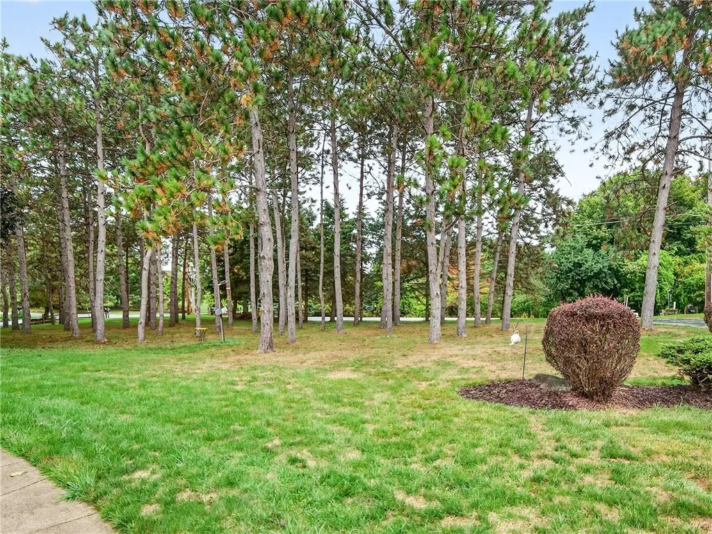 151 Pond Road, Mendon, New York 14472, Mendon, New York 14472, 3 Bedrooms Bedrooms, 9 Rooms Rooms,3 BathroomsBathrooms,Residential,Closed,151 Pond Road, Mendon, New York 14472,0,R1639785