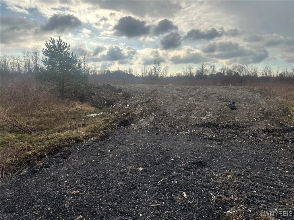 10445 County Road, Clarence, New York 14031, Clarence, New York 14031, ,Land,For Sale,10445 County Road, Clarence, New York 14031,0,B1640627 10445 County Road, Clarence, New York 14031, Clarence, New York 14031, ,Land,For Sale,10445 County Road, Clarence, New York 14031,0,B1640627