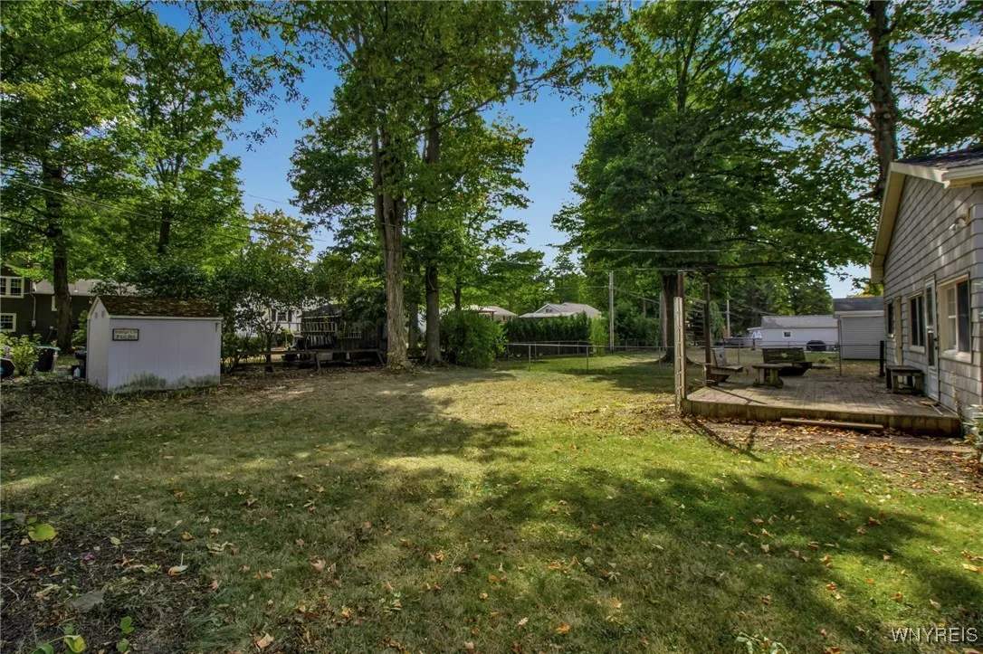 Spacious peaceful yard