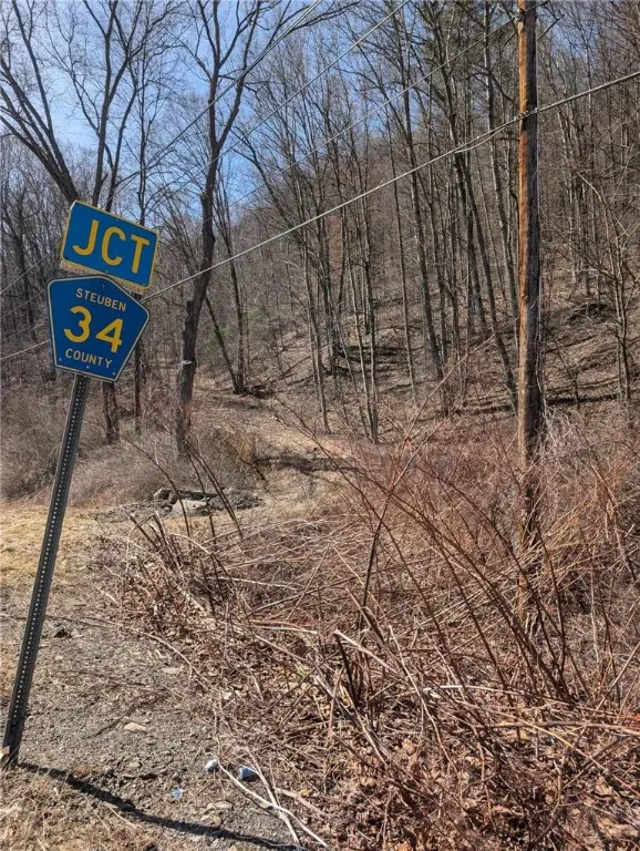 Caton Road, Corning, New York 14830, Corning, New York 14830, ,Land,For Sale,Caton Road, Corning, New York 14830,0,R1637646