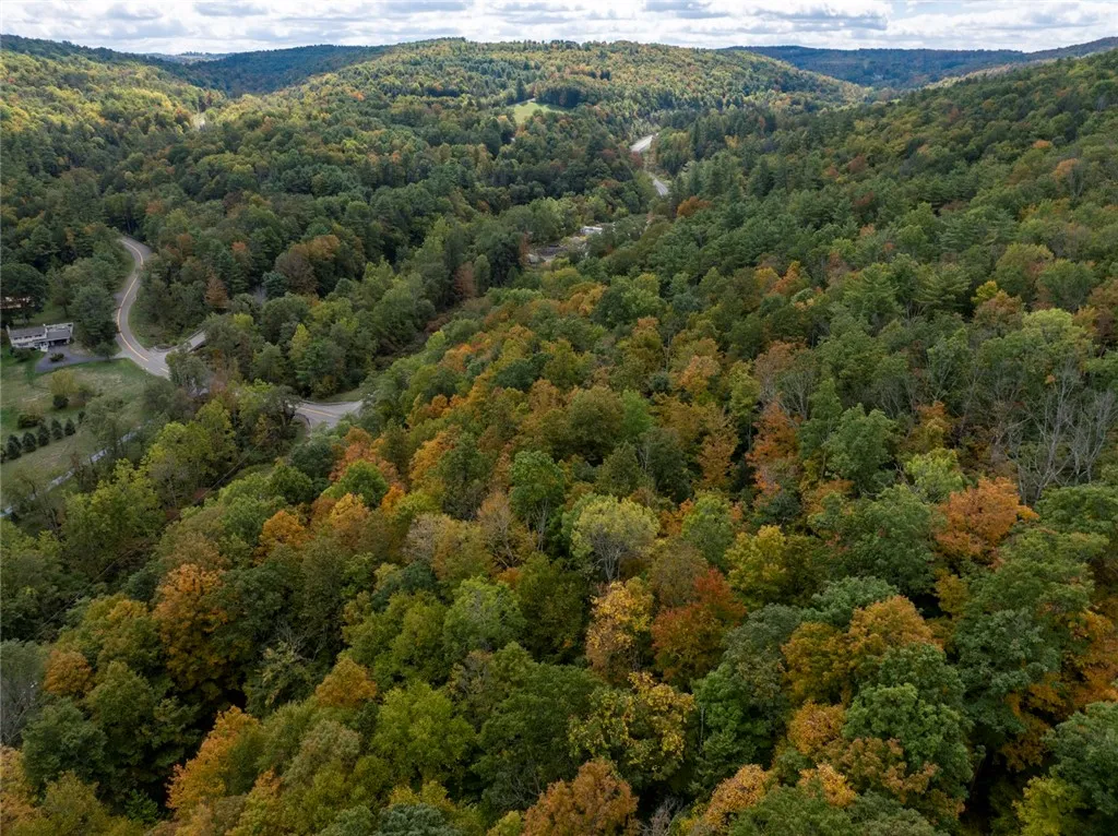 Caton Road, Corning, New York 14830, Corning, New York 14830, ,Land,For Sale,Caton Road, Corning, New York 14830,0,R1637646