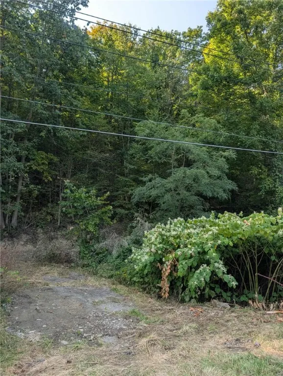 Caton Road, Corning, New York 14830, Corning, New York 14830, ,Land,For Sale,Caton Road, Corning, New York 14830,0,R1637646