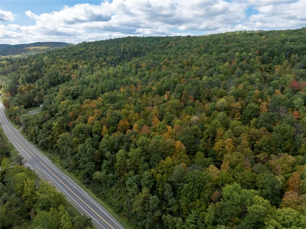 Caton Road, Corning, New York 14830, Corning, New York 14830, ,Land,For Sale,Caton Road, Corning, New York 14830,0,R1637646