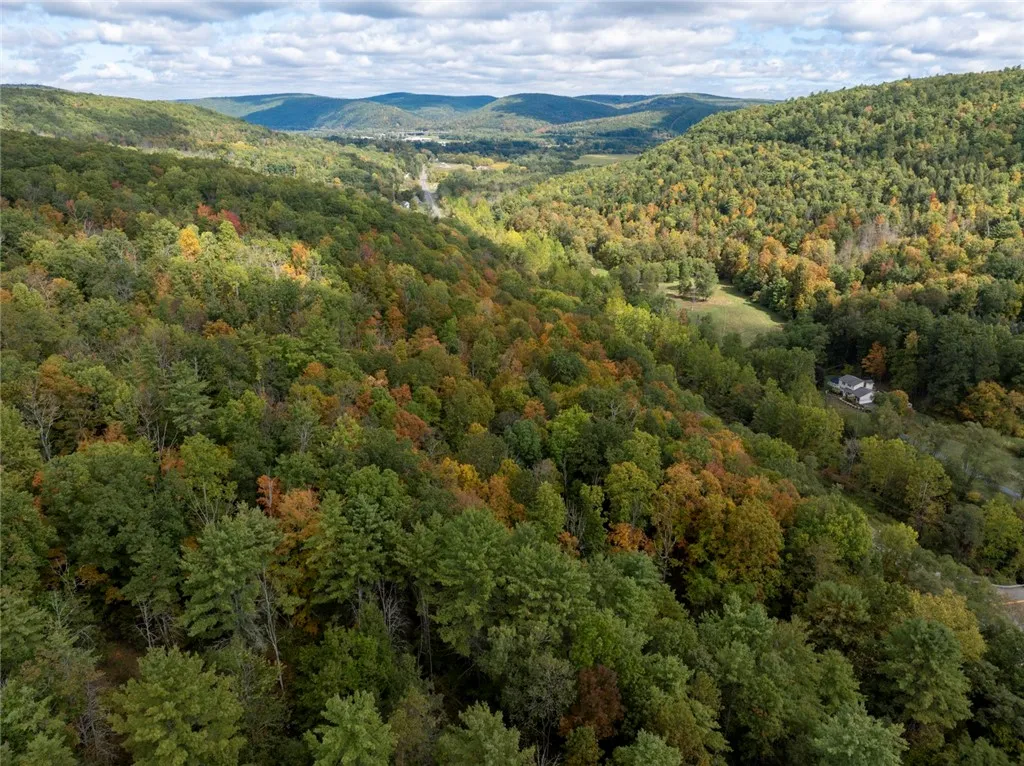 Caton Road, Corning, New York 14830, Corning, New York 14830, ,Land,For Sale,Caton Road, Corning, New York 14830,0,R1637646