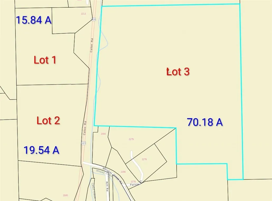 Caton Road West, Corning, New York 14830, Corning, New York 14830, ,Land,For Sale,Caton Road West, Corning, New York 14830,0,R1640864