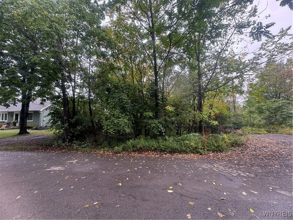 49 Auckland Avenue, Orchard Park, New York 14127, Orchard Park, New York 14127, ,Land,For Sale,49 Auckland Avenue, Orchard Park, New York 14127,0,B1640898