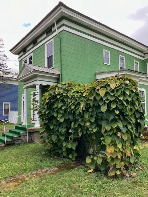 36 Hayes Street, Norwich, New York 13815, Norwich, New York 13815, 7 Bedroom Bedrooms, ,4 BathroomBathrooms,Residential,For Sale,36 Hayes Street, Norwich, New York 13815,0,R1640533