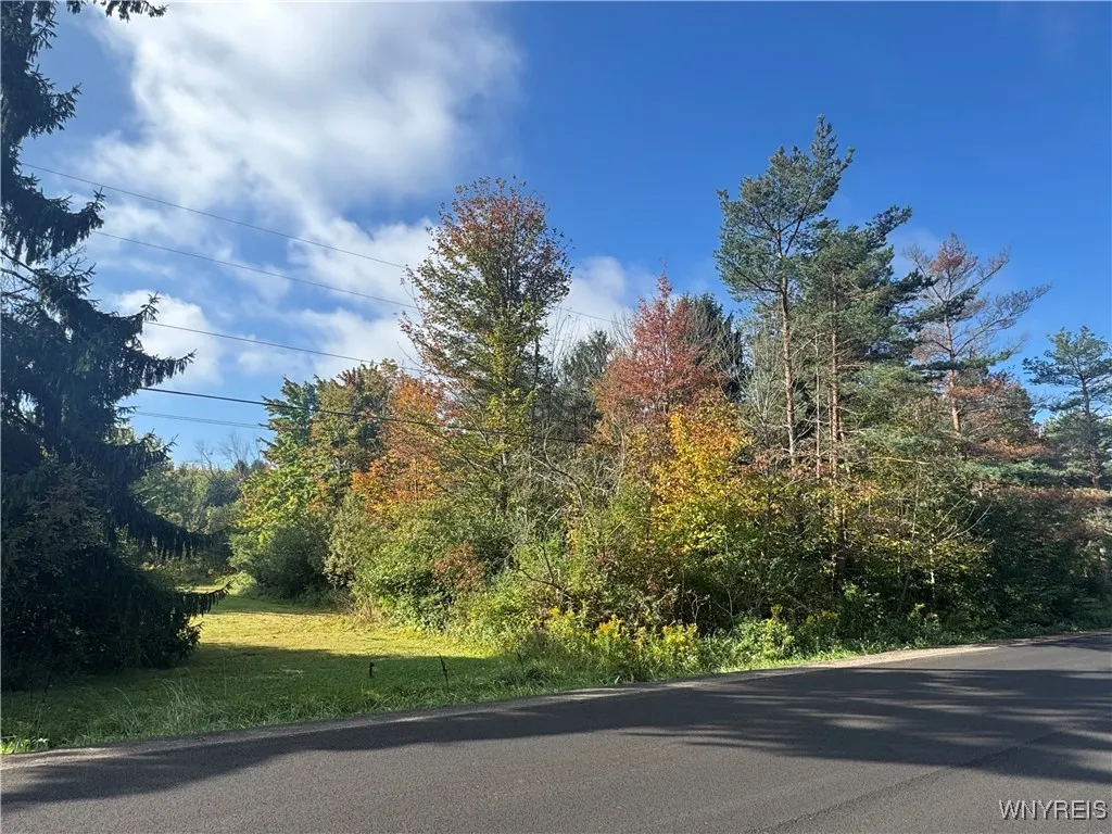 Vl Behm Road, Orchard Park, New York 14170, Orchard Park, New York 14170, ,Land,For Sale,Vl Behm Road, Orchard Park, New York 14170,0,B1641012