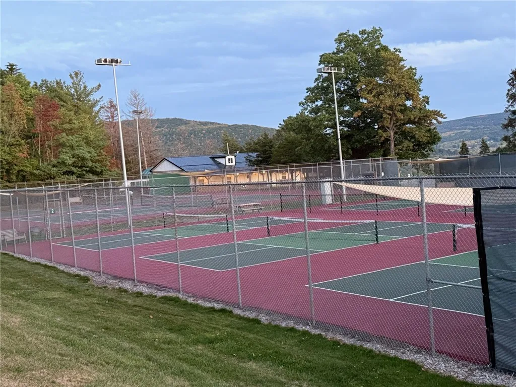 tennis court s & pickle ball