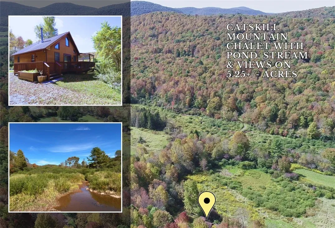 995 Betty Brook Road, Kortright, New York 13842, Kortright, New York 13842, 3 Bedrooms Bedrooms, 6 Rooms Rooms,1 BathroomBathrooms,Residential,Closed,995 Betty Brook Road, Kortright, New York 13842,0,R1639100