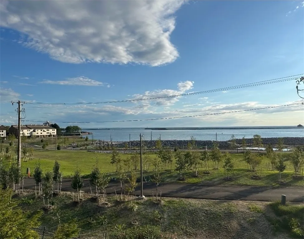 398 Lakefront Boulevard, Buffalo, New York 14202, Buffalo, New York 14202, 2 Bedrooms Bedrooms, 6 Rooms Rooms,2 BathroomsBathrooms,Residential,For Sale,398 Lakefront Boulevard, Buffalo, New York 14202,0,R1638710