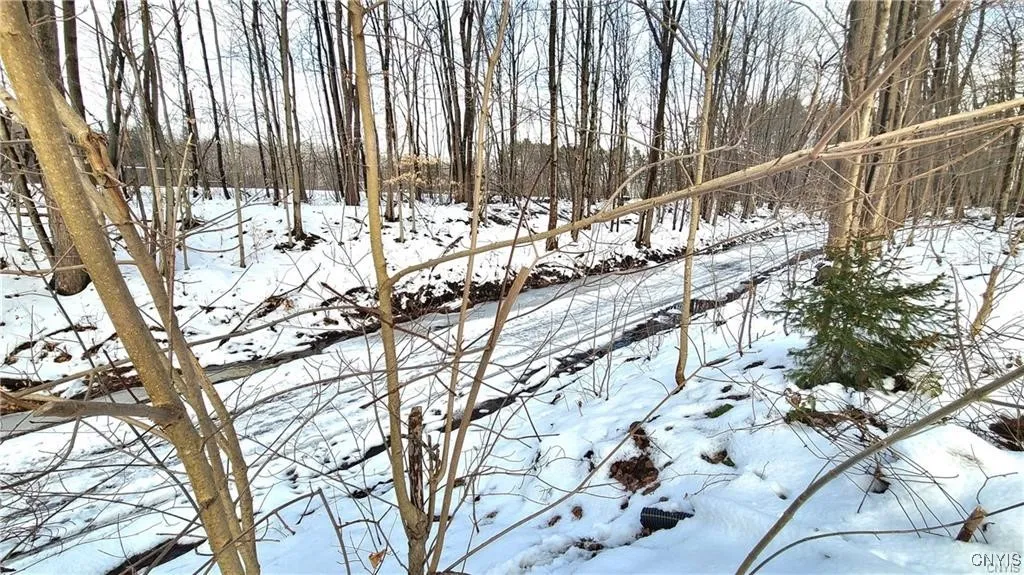 227 Northland Drive, Hastings, New York 13036, Hastings, New York 13036, 4 Bedrooms Bedrooms, 11 Rooms Rooms,1 BathroomBathrooms,Residential,For Sale,227 Northland Drive, Hastings, New York 13036,0,S1640804