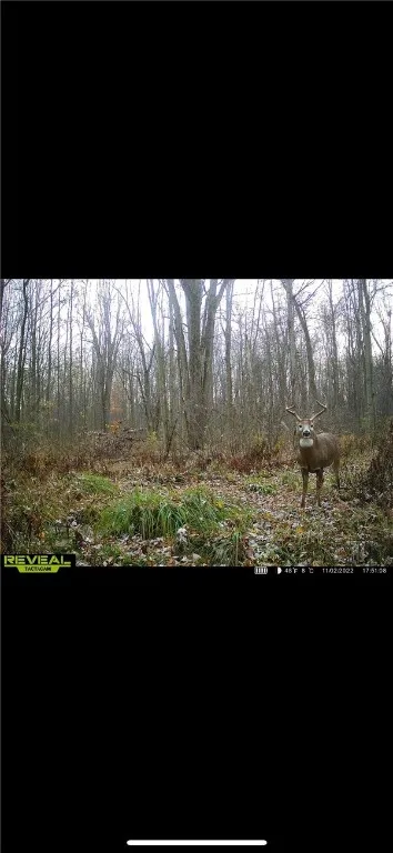 6404 Lawville Road, Wolcott, New York 14590, Wolcott, New York 14590, ,Land,Closed,6404 Lawville Road, Wolcott, New York 14590,0,R1641386