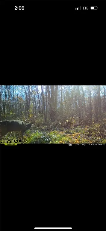 6404 Lawville Road, Wolcott, New York 14590, Wolcott, New York 14590, ,Land,Closed,6404 Lawville Road, Wolcott, New York 14590,0,R1641386