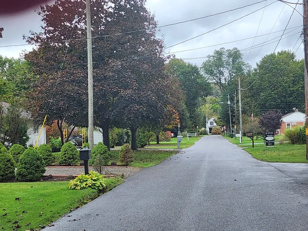 25 Hopkins Street, Unadilla, New York 13849, Unadilla, New York 13849, 3 Bedrooms Bedrooms, 9 Rooms Rooms,2 BathroomsBathrooms,Residential,For Sale,25 Hopkins Street, Unadilla, New York 13849,0,R1640986