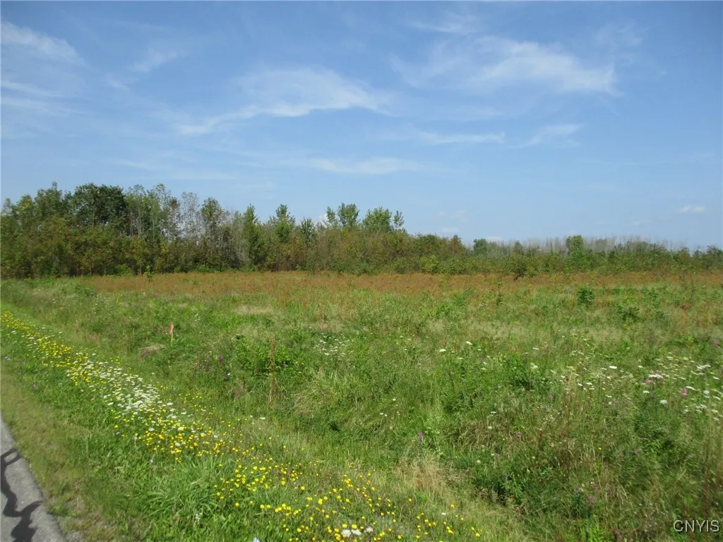 02 Hitchcock Point Road, Sullivan, New York 13037, Sullivan, New York 13037, ,Land,For Sale,02 Hitchcock Point Road, Sullivan, New York 13037,0,S1641412