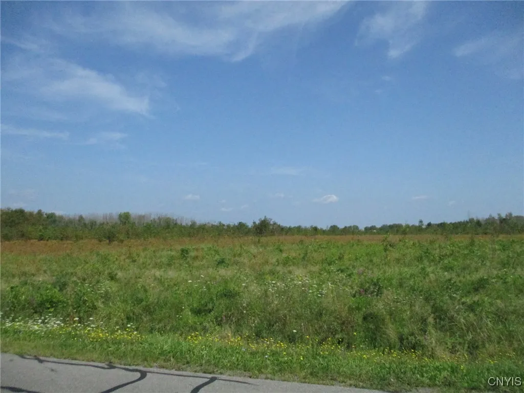 02 Hitchcock Point Road, Sullivan, New York 13037, Sullivan, New York 13037, ,Land,For Sale,02 Hitchcock Point Road, Sullivan, New York 13037,0,S1641412