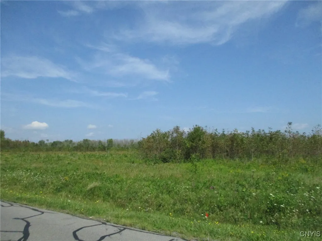 02 Hitchcock Point Road, Sullivan, New York 13037, Sullivan, New York 13037, ,Land,For Sale,02 Hitchcock Point Road, Sullivan, New York 13037,0,S1641412