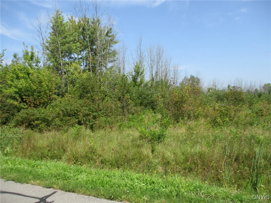 02 Hitchcock Point Road, Sullivan, New York 13037, Sullivan, New York 13037, ,Land,For Sale,02 Hitchcock Point Road, Sullivan, New York 13037,0,S1641412