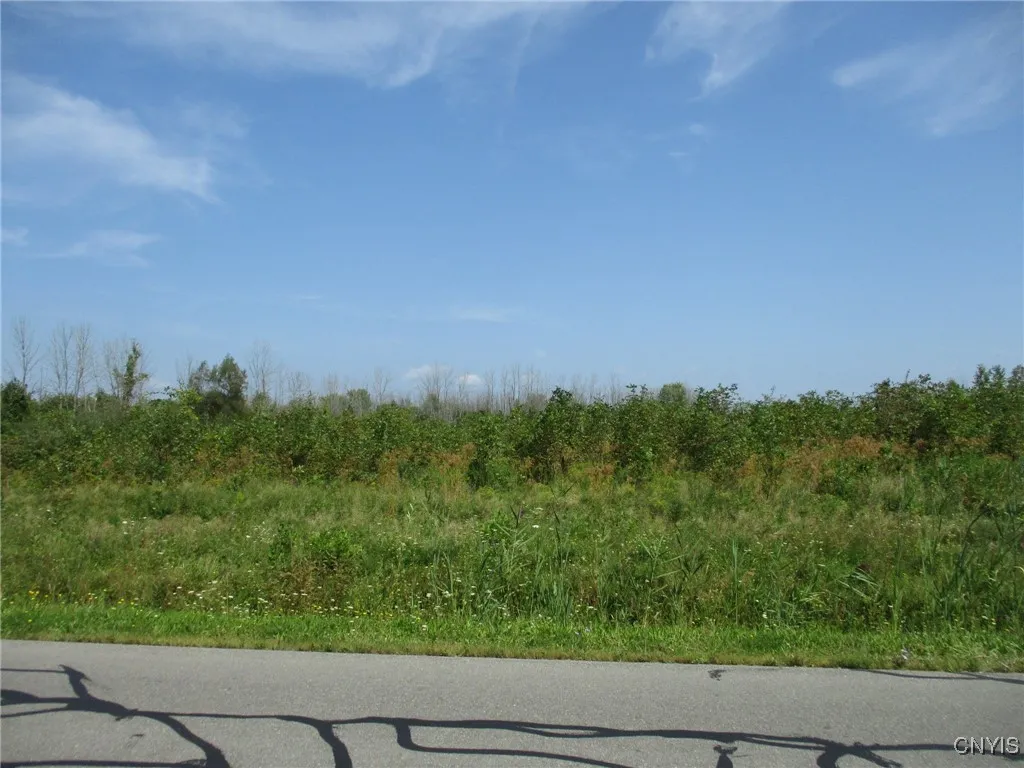 02 Hitchcock Point Road, Sullivan, New York 13037, Sullivan, New York 13037, ,Land,For Sale,02 Hitchcock Point Road, Sullivan, New York 13037,0,S1641412
