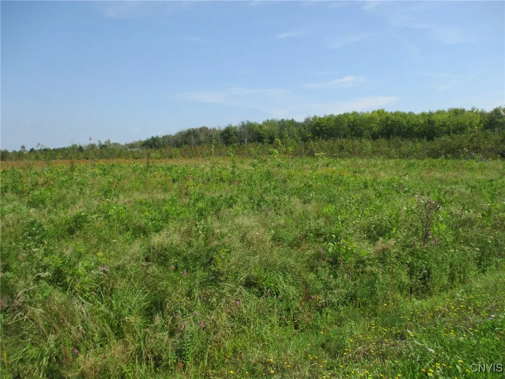 02 Hitchcock Point Road, Sullivan, New York 13037, Sullivan, New York 13037, ,Land,For Sale,02 Hitchcock Point Road, Sullivan, New York 13037,0,S1641412