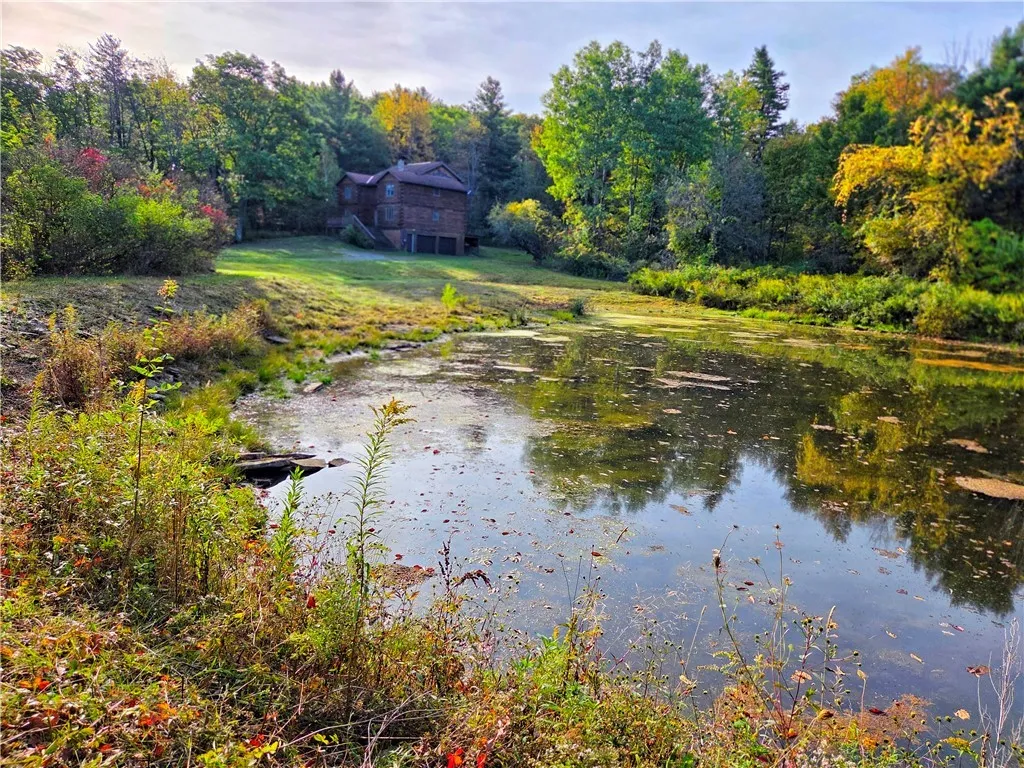 3100 Comfort Hill Road, Ashland, New York 14894, Ashland, New York 14894, 4 Bedrooms Bedrooms, 10 Rooms Rooms,1 BathroomBathrooms,Residential,For Sale,3100 Comfort Hill Road, Ashland, New York 14894,0,R1641767