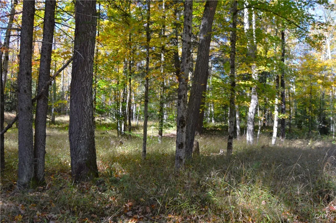 10409 Benoit Drive, Croghan, New York 13327, Croghan, New York 13327, 2 Bedrooms Bedrooms, ,1 BathroomBathrooms,Land,For Sale,10409 Benoit Drive, Croghan, New York 13327,0,S1642019