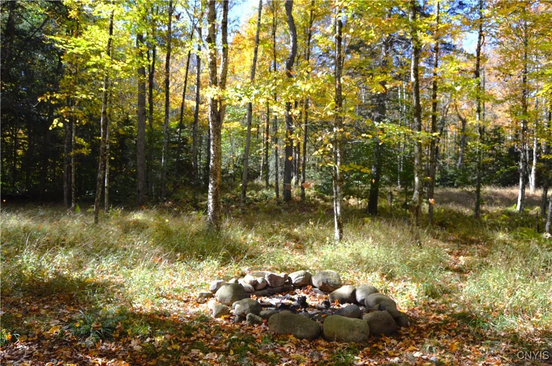 10409 Benoit Drive, Croghan, New York 13327, Croghan, New York 13327, 2 Bedrooms Bedrooms, ,1 BathroomBathrooms,Land,For Sale,10409 Benoit Drive, Croghan, New York 13327,0,S1642019