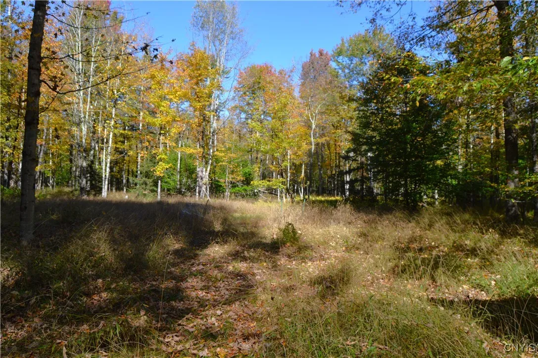 10409 Benoit Drive, Croghan, New York 13327, Croghan, New York 13327, 2 Bedrooms Bedrooms, ,1 BathroomBathrooms,Land,For Sale,10409 Benoit Drive, Croghan, New York 13327,0,S1642019