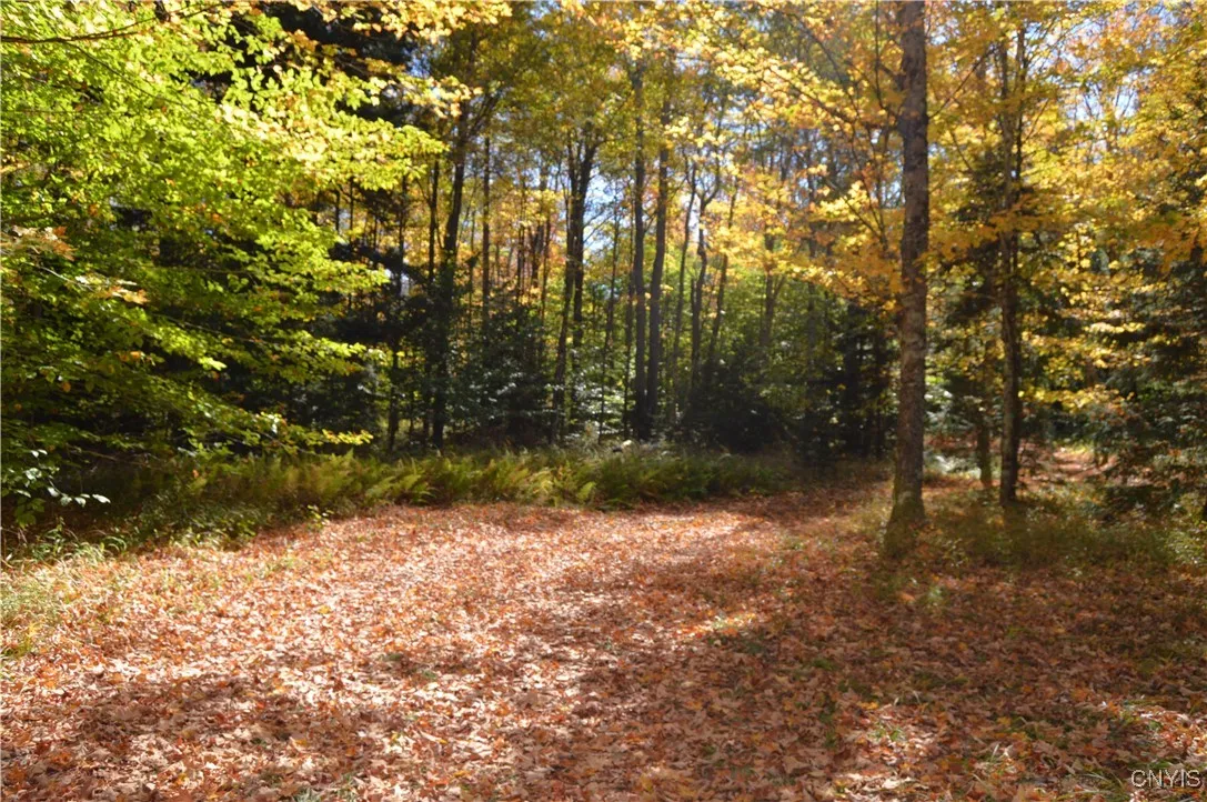 10409 Benoit Drive, Croghan, New York 13327, Croghan, New York 13327, 2 Bedrooms Bedrooms, ,1 BathroomBathrooms,Land,For Sale,10409 Benoit Drive, Croghan, New York 13327,0,S1642019