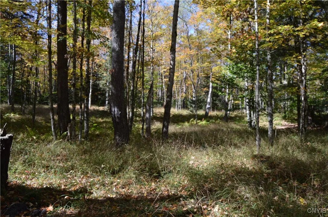 10409 Benoit Drive, Croghan, New York 13327, Croghan, New York 13327, 2 Bedrooms Bedrooms, ,1 BathroomBathrooms,Land,For Sale,10409 Benoit Drive, Croghan, New York 13327,0,S1642019