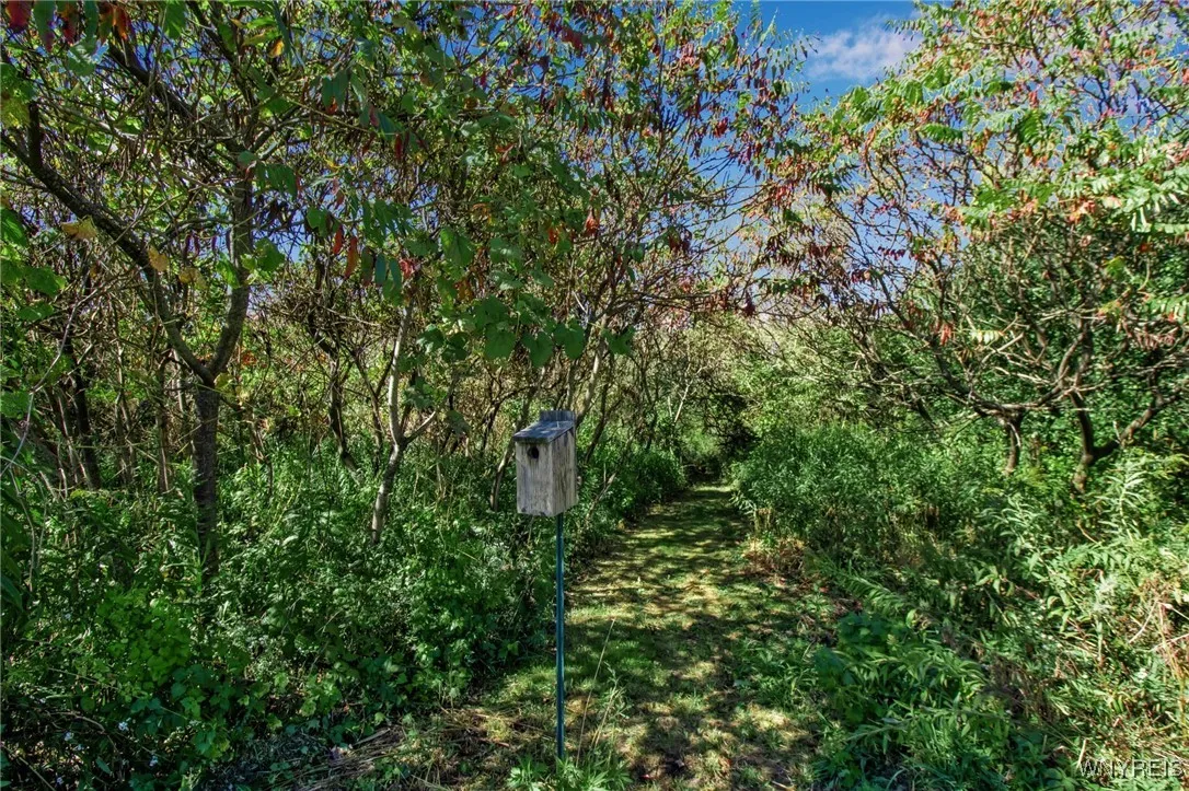 Walking paths for miles!