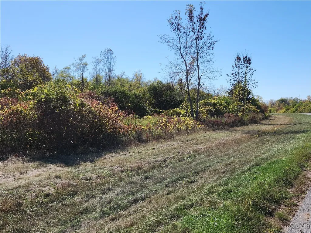 3350 Bedford Corners Road, Cape Vincent, New York, Cape Vincent, New York 13618, ,Land,For Sale,3350 Bedford Corners Road, Cape Vincent, New York ,0,S1640763