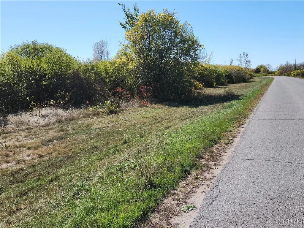 3350 Bedford Corners Road, Cape Vincent, New York, Cape Vincent, New York 13618, ,Land,For Sale,3350 Bedford Corners Road, Cape Vincent, New York ,0,S1640763