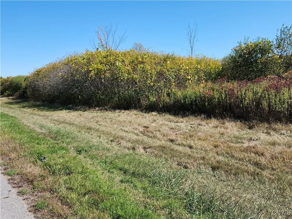 3350 Bedford Corners Road, Cape Vincent, New York, Cape Vincent, New York 13618, ,Land,For Sale,3350 Bedford Corners Road, Cape Vincent, New York ,0,S1640763