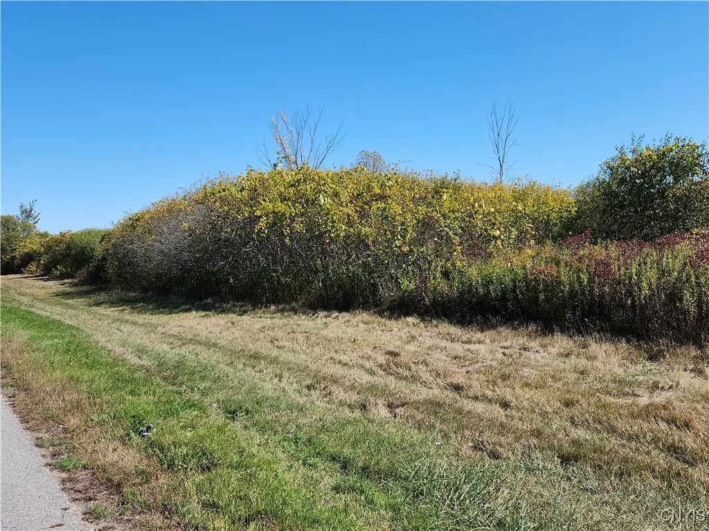 3350 Bedford Corners Road, Cape Vincent, New York, Cape Vincent, New York 13618, ,Land,For Sale,3350 Bedford Corners Road, Cape Vincent, New York ,0,S1640763