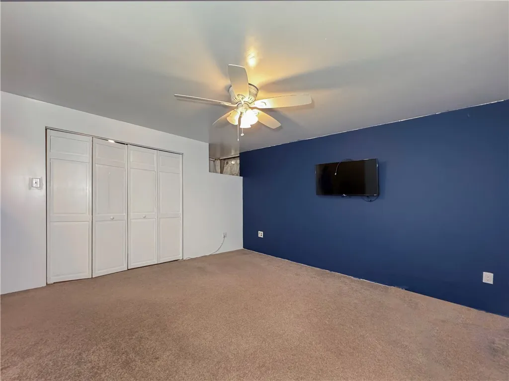 Basement/lower level