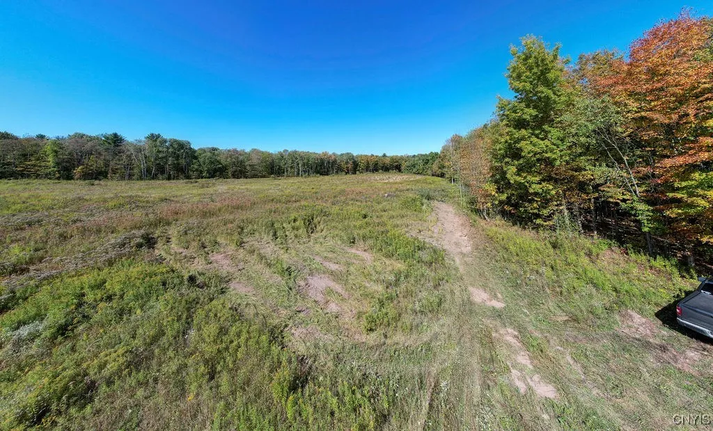 0 Gilbert Mills Road, Schroeppel, New York 13069, Schroeppel, New York 13069, ,Land,For Sale,0 Gilbert Mills Road, Schroeppel, New York 13069,0,S1638972