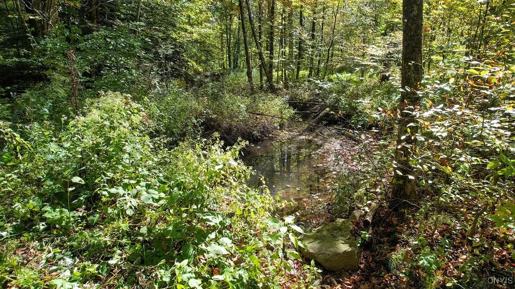 0 Gilbert Mills Road, Schroeppel, New York 13069, Schroeppel, New York 13069, ,Land,For Sale,0 Gilbert Mills Road, Schroeppel, New York 13069,0,S1638972