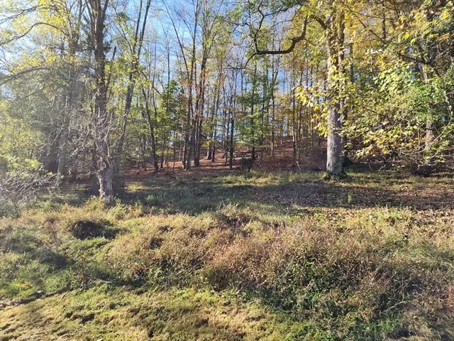 339 Oak Street, Emporium Boro, Pennsylvania 15834, Emporium Boro, Pennsylvania 15834, 3 Bedrooms Bedrooms, 8 Rooms Rooms,1 BathroomBathrooms,Residential,Closed,339 Oak Street, Emporium Boro, Pennsylvania 15834,0,R1642474