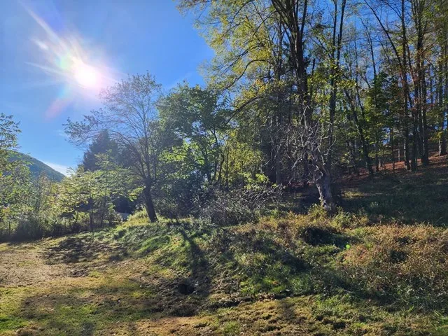 339 Oak Street, Emporium Boro, Pennsylvania 15834, Emporium Boro, Pennsylvania 15834, 3 Bedrooms Bedrooms, 8 Rooms Rooms,1 BathroomBathrooms,Residential,Closed,339 Oak Street, Emporium Boro, Pennsylvania 15834,0,R1642474