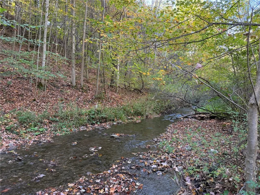 0 Eelpot Road, Naples, New York 14512, Naples, New York 14512, ,Land,Closed,0 Eelpot Road, Naples, New York 14512,0,R1642565