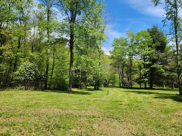 2564 Moore Hill Road, Shippen Twp, Pennsylvania 15, Shippen Twp, Pennsylvania 15834, ,Land,For Sale,2564 Moore Hill Road, Shippen Twp, Pennsylvania 15,0,R1642680 2564 Moore Hill Road, Shippen Twp, Pennsylvania 15, Shippen Twp, Pennsylvania 15834, ,Land,For Sale,2564 Moore Hill Road, Shippen Twp, Pennsylvania 15,0,R1642680