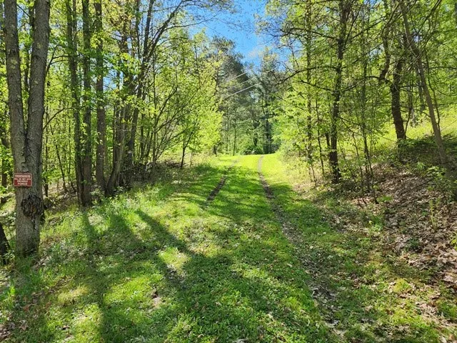 2564 Moore Hill Road, Shippen Twp, Pennsylvania 15, Shippen Twp, Pennsylvania 15834, ,Land,For Sale,2564 Moore Hill Road, Shippen Twp, Pennsylvania 15,0,R1642680 2564 Moore Hill Road, Shippen Twp, Pennsylvania 15, Shippen Twp, Pennsylvania 15834, ,Land,For Sale,2564 Moore Hill Road, Shippen Twp, Pennsylvania 15,0,R1642680