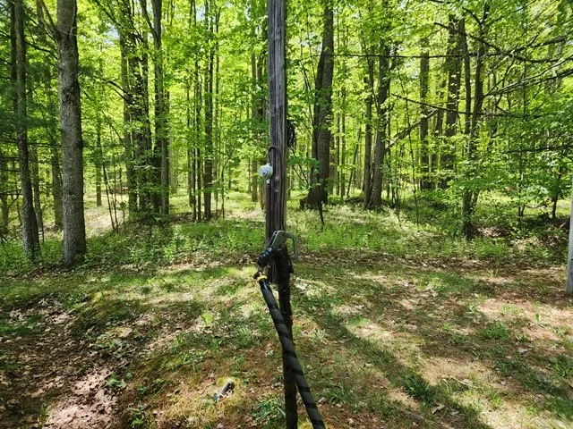 2564 Moore Hill Road, Shippen Twp, Pennsylvania 15, Shippen Twp, Pennsylvania 15834, ,Land,For Sale,2564 Moore Hill Road, Shippen Twp, Pennsylvania 15,0,R1642680 2564 Moore Hill Road, Shippen Twp, Pennsylvania 15, Shippen Twp, Pennsylvania 15834, ,Land,For Sale,2564 Moore Hill Road, Shippen Twp, Pennsylvania 15,0,R1642680