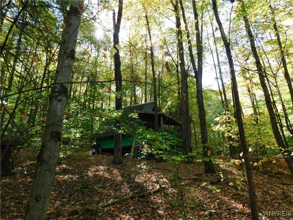 8005 Johnson Hill Road 2, Clarksville, New York 14, Clarksville, New York 14715, 1 Bedroom Bedrooms, ,Land,For Sale,8005 Johnson Hill Road 2, Clarksville, New York 14,0,B1642673 8005 Johnson Hill Road 2, Clarksville, New York 14, Clarksville, New York 14715, 1 Bedroom Bedrooms, ,Land,For Sale,8005 Johnson Hill Road 2, Clarksville, New York 14,0,B1642673