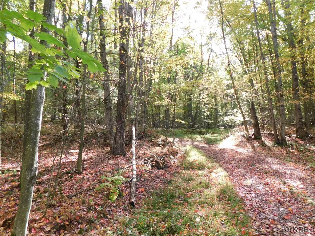 8005 Johnson Hill Road 2, Clarksville, New York 14, Clarksville, New York 14715, 1 Bedroom Bedrooms, ,Land,For Sale,8005 Johnson Hill Road 2, Clarksville, New York 14,0,B1642673 8005 Johnson Hill Road 2, Clarksville, New York 14, Clarksville, New York 14715, 1 Bedroom Bedrooms, ,Land,For Sale,8005 Johnson Hill Road 2, Clarksville, New York 14,0,B1642673