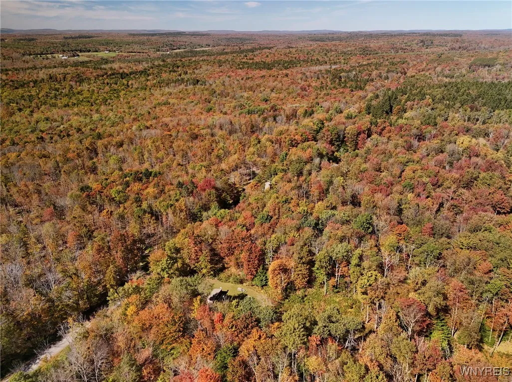 00 Town Line Road, Mc Donough, New York 13801, Mc Donough, New York 13801, ,Land,For Sale,00 Town Line Road, Mc Donough, New York 13801,0,B1642703 00 Town Line Road, Mc Donough, New York 13801, Mc Donough, New York 13801, ,Land,For Sale,00 Town Line Road, Mc Donough, New York 13801,0,B1642703