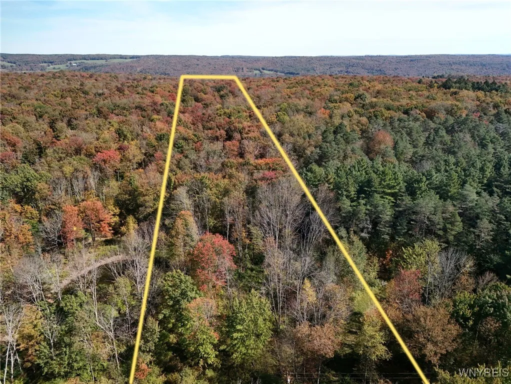 00 Town Line Road, Mc Donough, New York 13801, Mc Donough, New York 13801, ,Land,For Sale,00 Town Line Road, Mc Donough, New York 13801,0,B1642703 00 Town Line Road, Mc Donough, New York 13801, Mc Donough, New York 13801, ,Land,For Sale,00 Town Line Road, Mc Donough, New York 13801,0,B1642703