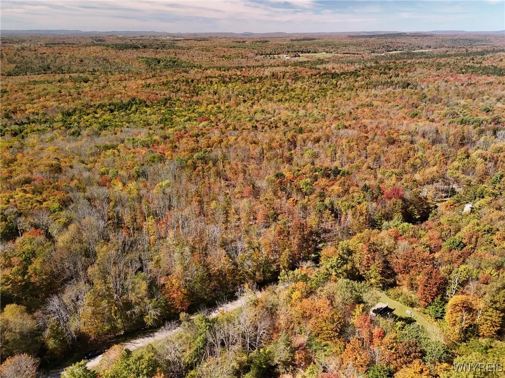 00 Town Line Road, Mc Donough, New York 13801, Mc Donough, New York 13801, ,Land,For Sale,00 Town Line Road, Mc Donough, New York 13801,0,B1642703 00 Town Line Road, Mc Donough, New York 13801, Mc Donough, New York 13801, ,Land,For Sale,00 Town Line Road, Mc Donough, New York 13801,0,B1642703